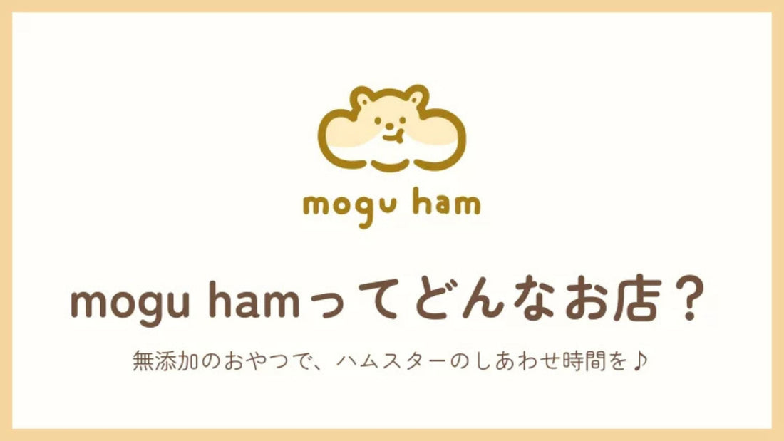 はじめまして、もぐはむです。