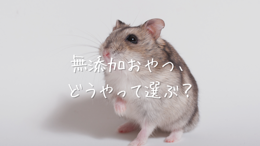 ハムスターの無添加おやつの選び方